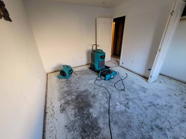 Best Commercial water damage restoration  in Groveland, FL