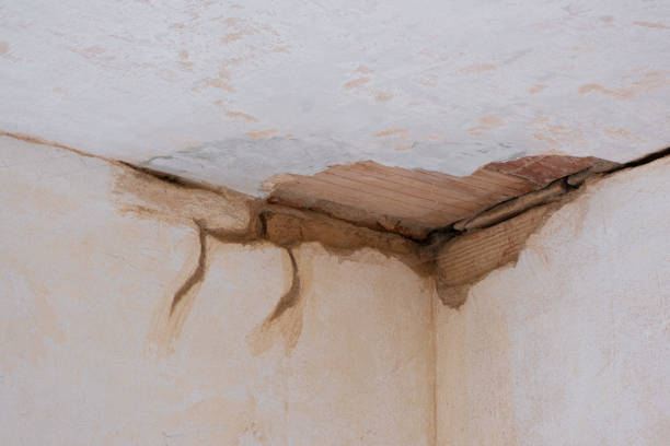 Best Professional water damage repair  in Groveland, FL