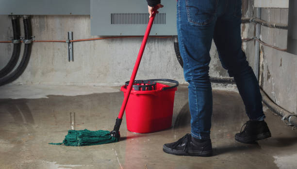 Best Flooded house restoration  in Groveland, FL