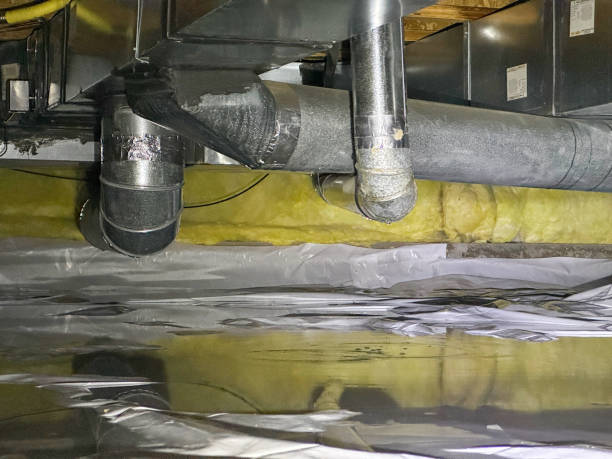 Best Water damage restoration specialists  in Groveland, FL