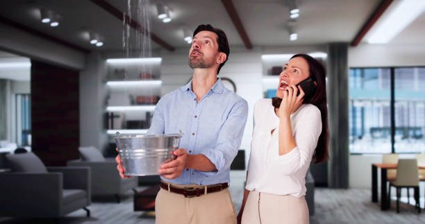 Best Water damage restoration insurance claims  in Groveland, FL