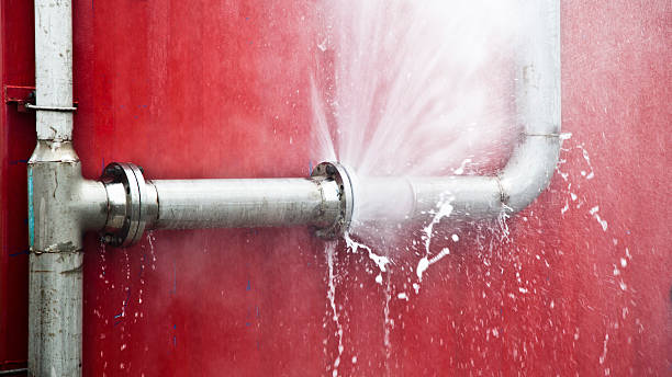 Best Sewage cleanup and water damage restoration  in Groveland, FL
